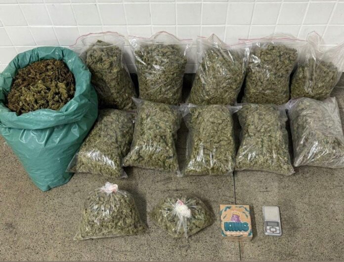 pm-apreende-34-quilos-de-maconha-em-acao-no-bairro-viveiros-em-feira-de-santana