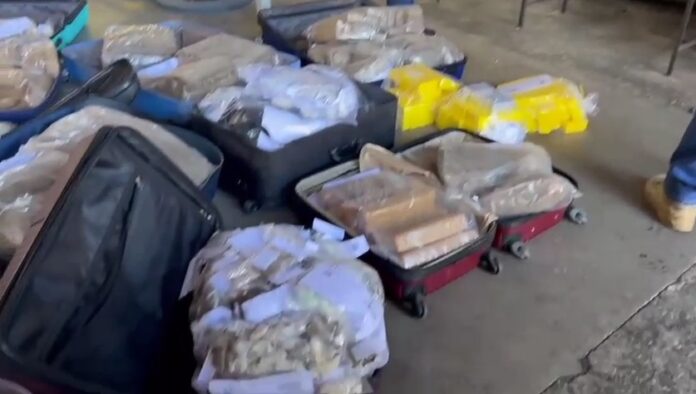 policia-incinera-225-quilos-de-drogas-em-vitoria-da-conquista