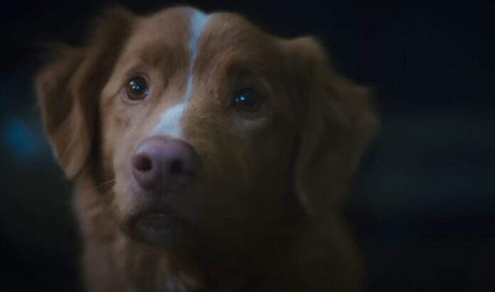 filme-indicado-ao-oscar-e-referencia-para-estudantes-de-direito