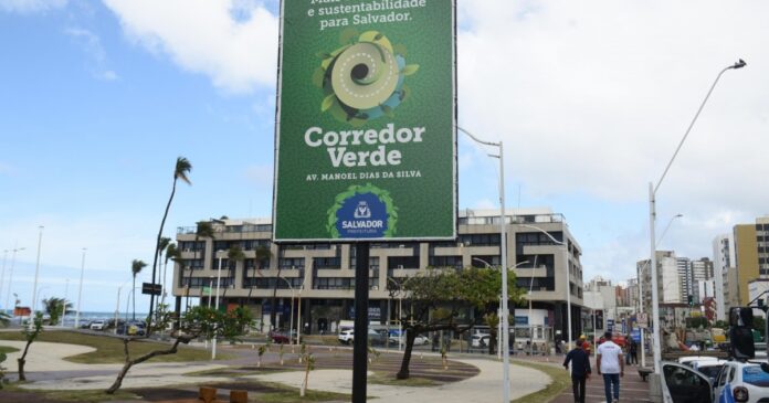 prefeitura-inicia-novo-programa-de-arborizacao-em-salvador-com-plantio-de-115-arvores-na-av.-manoel-dias
