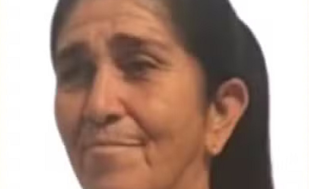 idosa-de-70-anos-morre-apos-ser-atacada-por-vaca-no-interior-da-bahia