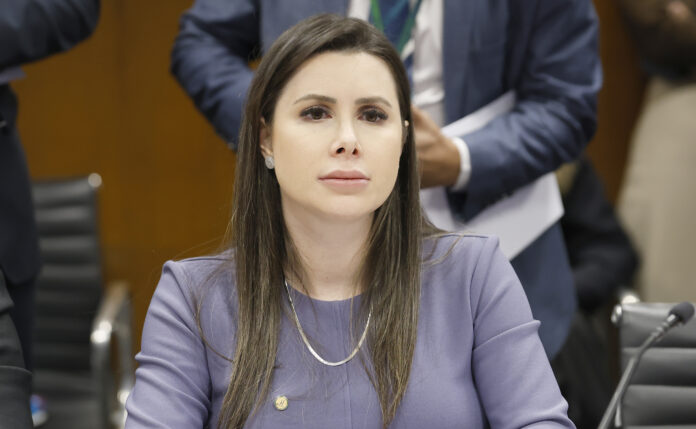 deputada-propoe-lei-que-autoriza-congresso-a-barrar-decisoes-do-stf