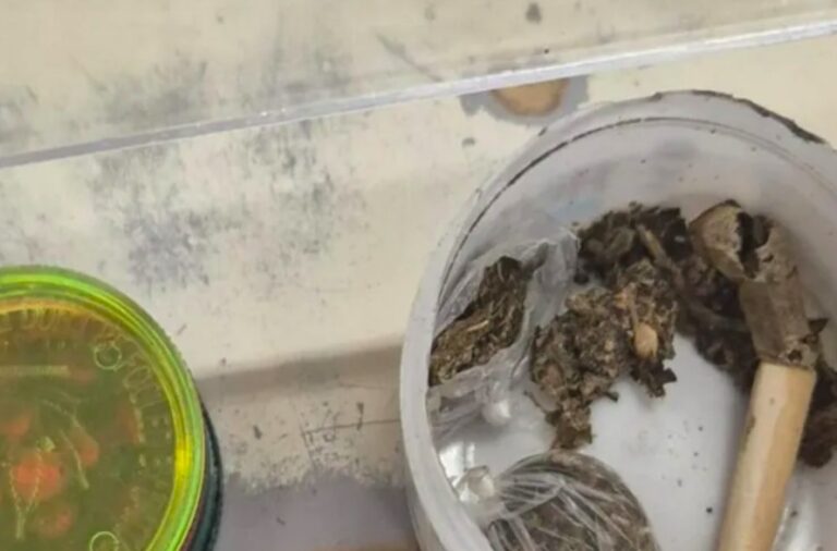 operacao-forca-tatica-do-17o-bpm-resulta-em-prisoes-e-apreensao-de-drogas-em-guanambi