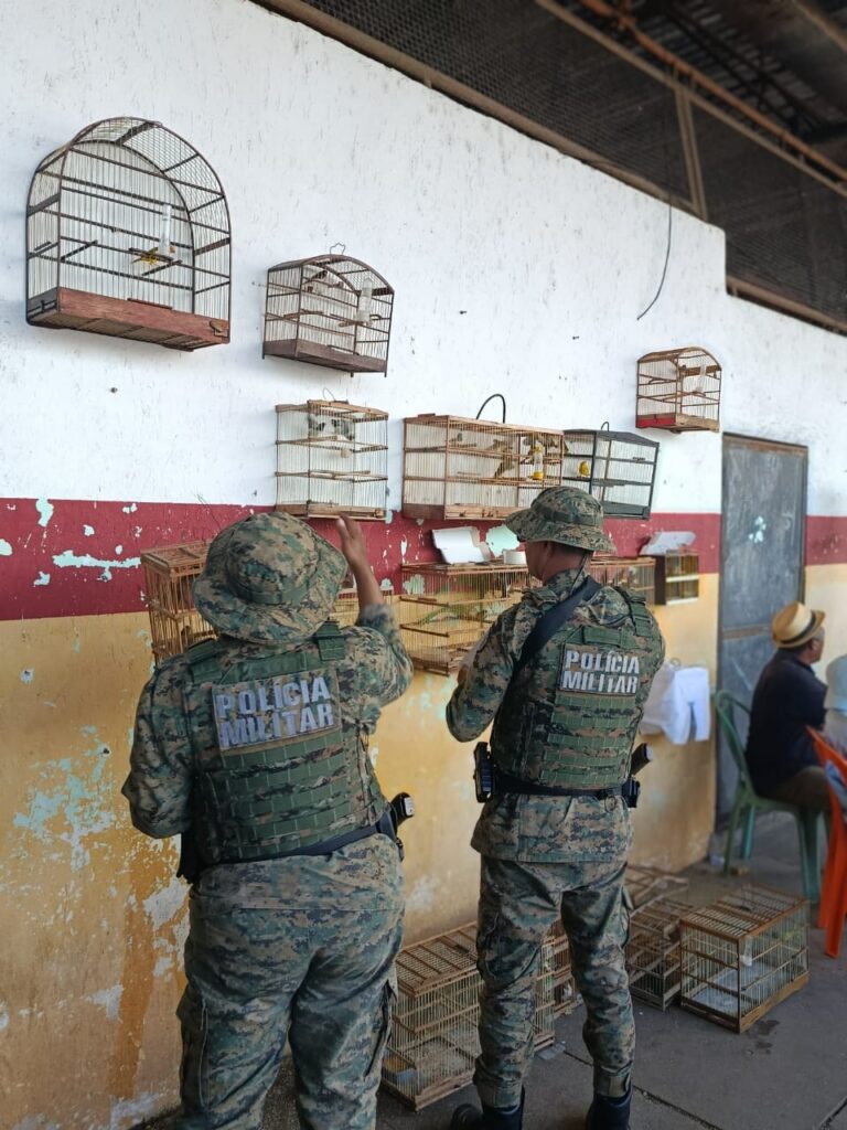 pm-resgata-77-aves-silvestres-na-regiao-metropolitana-de-salvador