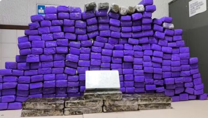 homem-e-preso-com-quase-300-tabletes-de-drogas-em-van-de-turismo