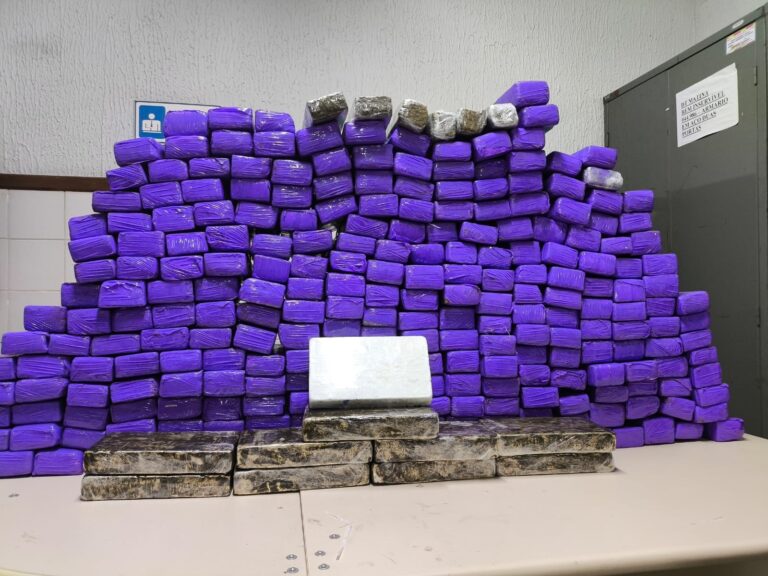 pm-apreende-mais-de-260-kg-de-drogas-no-sudoeste-baiano;-van-seguia-de-sao-paulo-para-pernambuco