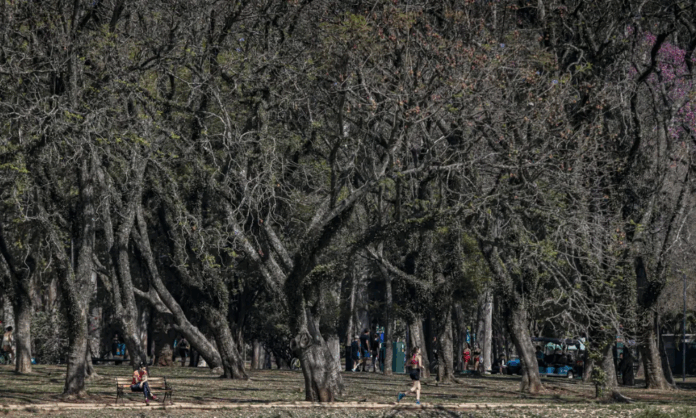 sao-paulo-encerra-mes-de-agosto-como-um-dos-mais-secos-dos-ultimos-anos