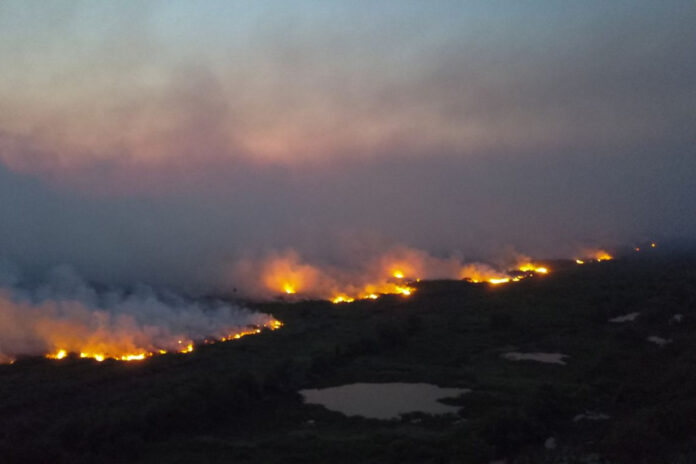 incendios-florestais-deterioram-a-qualidade-do-ar-a-quilometros-de-distancia,-alerta-onu