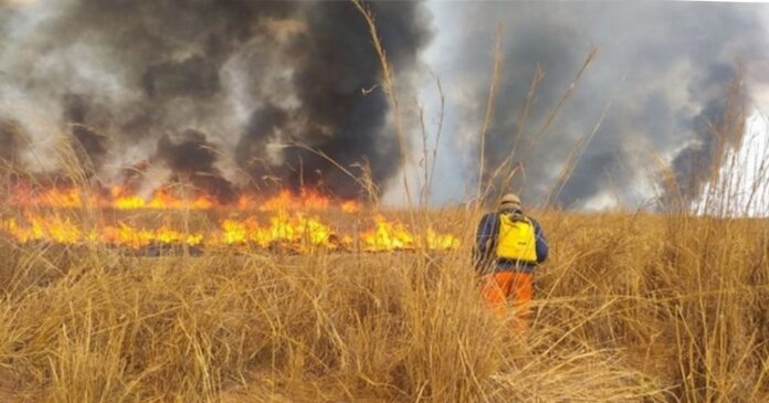 bahia-e-o-terceiro-estado-com-mais-focos-de-incendio-do-brasil,-aponta-inpe
