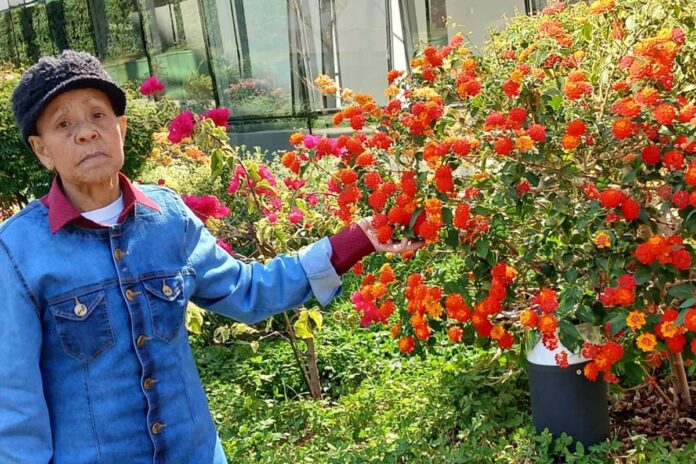 amor-pela-jardinagem:-morre-primeira-jardineira-da-novacap-aos-79-anos