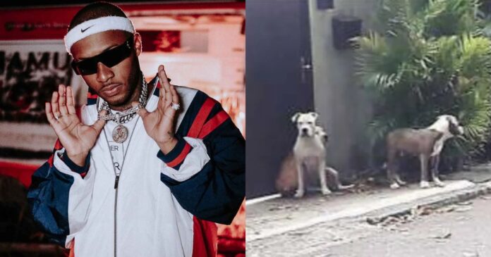 justica-mantem-condenacao-do-rapper-orochi-em-caso-envolvendo-cachorros-do-artista