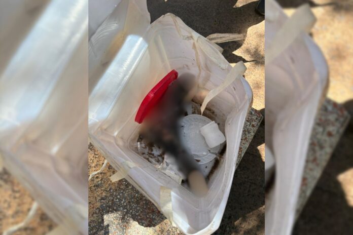 pe-humano-e-encontrado-com-materiais-reciclaveis-em-cooperativa-de-sp