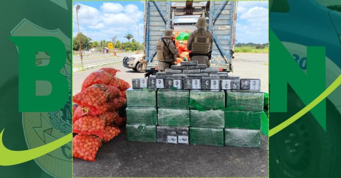 policia-apreende-mais-de-500-kg-de-cocaina-em-caminhao-na-ba-502-no-interior-baiano