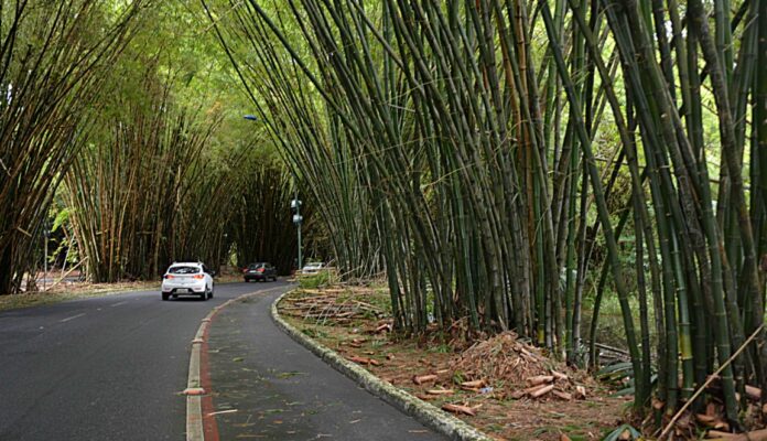 motorista-por-aplicativo-e-passageiros-sofrem-emboscada-no-bambuzal,-proximo-ao-aeroporto,-e-tem-pertences-roubados