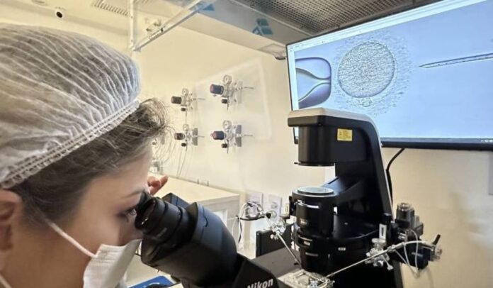 mpf-abre-investigacao-para-cobrar-do-ministerio-da-saude-inclusao-de-fertilizacao-in-vitro-no-sus-na-bahia