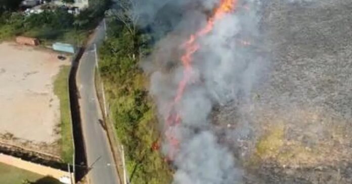 salvador-lidera-registros-de-incendios-em-areas-de-mata-na-bahia-e-acumula-340-ocorrencias-em-quatro-anos
