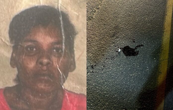 tragedia-na-rodovia:-mulher-e-atropelada-e-morre-em-itamaraju;-motorista-nao-presta-socorro