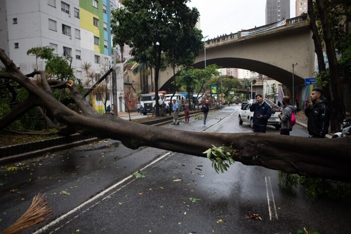 temporal-provoca-estragos,-cancela-voos-e-deixa-milhares-sem-luz-em-sao-paulo