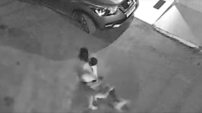 crianca-com-autismo-e-atacada-por-pitbull-em-itabuna;-menino-esta-internado