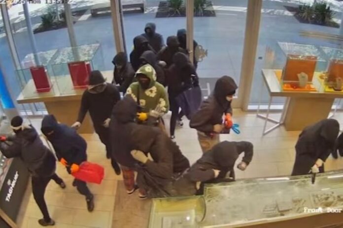 grupo-rouba-us$-1-milhao-em-joias-em-shopping-na-california.-video grupo-rouba-us$-1-milhao-em-joias-em-shopping-na-california.-video
