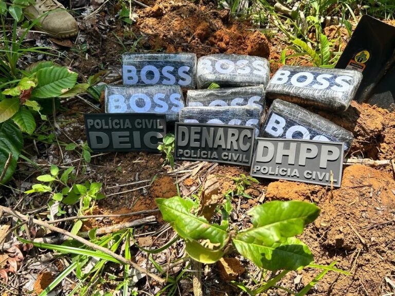 policia-encontra-sete-quilos-de-cocaina-enterrados-em-area-de-mata-em-madre-de-deus