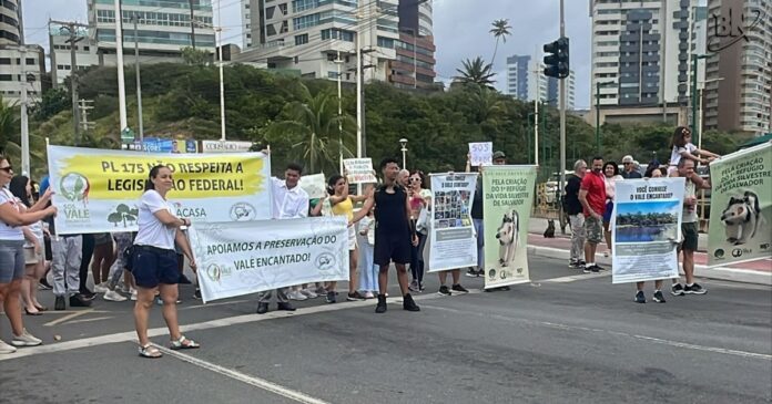 moradores-protestam-em-defesa-do-vale-encantado-e-lider-do-governo-assegura-que-emenda-na-louos-nao-passou-na-cms