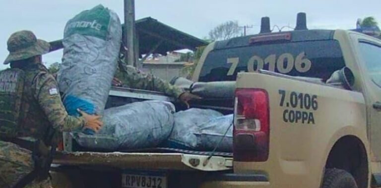 meia-tonelada-de-carvao-ilegal-e-apreendida-na-regiao-metropolitana-de-salvador