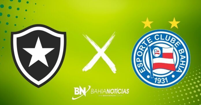 botafogo-x-bahia:-confira-provaveis-escalacoes,-horario-e-onde-assistir