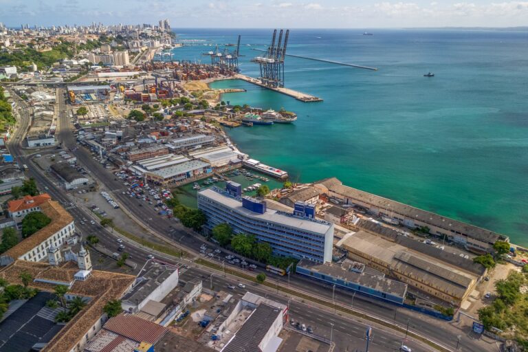 inema-autoriza-consorcio-da-ponte-salvador-itaparica-a-fazer-estudos-em-fauna-aquatica-em-area-de-porto