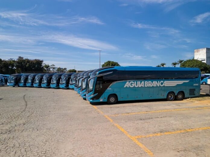 acidente:-onibus-tomba-no-sul-da-bahia-e-deixa-13-feridos