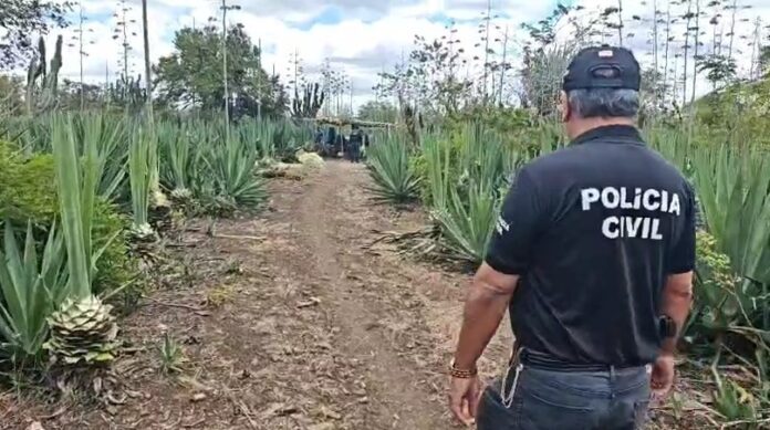 suspeito-de-estupro-de-vulneravel-contra-filha-e-preso-em-araci