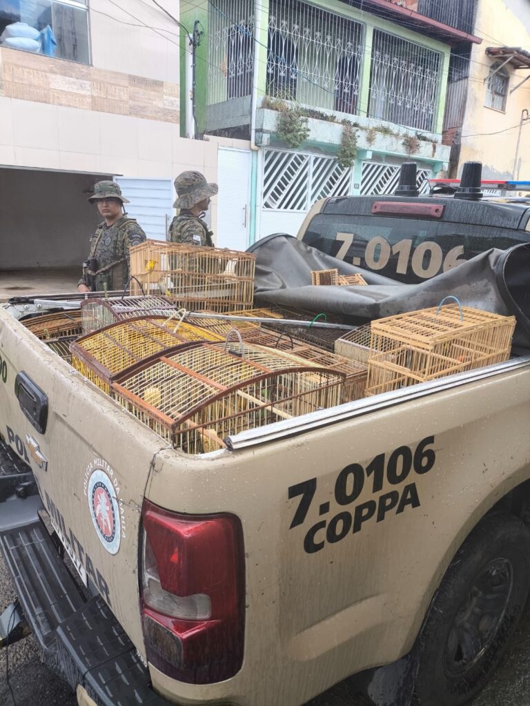 pm-apreende-22-aves-silvestres-em-catu