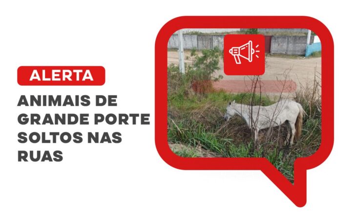 prefeitura-alerta-sobre-animais-de-grande-porte-soltos-nas-ruas