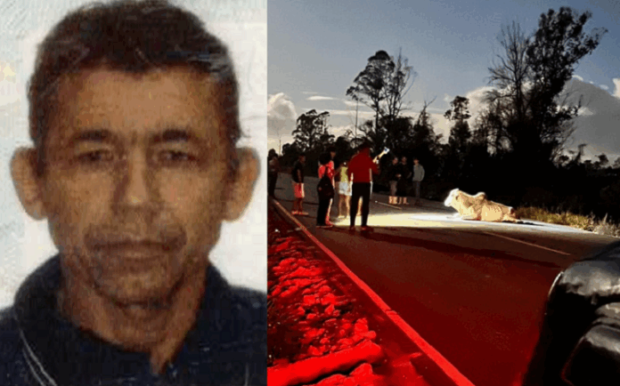 animal-na-pista-causa-tragedia:-motociclista-morre-e-passageira-fica-gravemente-ferida-em-nova-vicosa