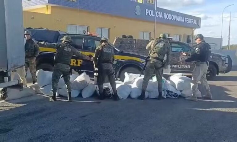 acao-conjunta-apreende-quase-800-kg-de-maconha-apos-caminhao-fugir-de-bloqueio-no-norte-baiano