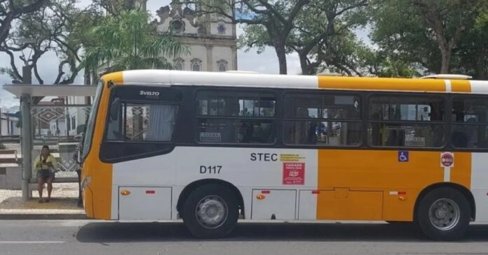 apos-emprestimo-de-r$-95-mi,-stec-questiona-eventual-mudanca-em-modelo-de-onibus-do-transporte-complementar-de-salvador