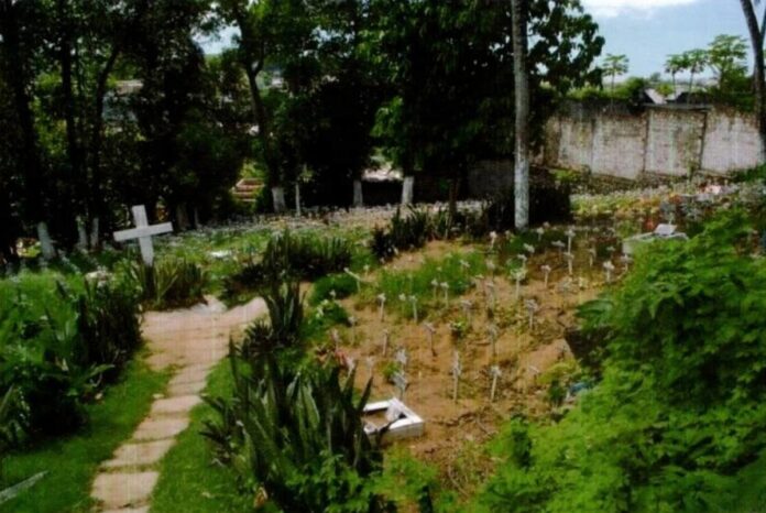 cemiterio-de-pets-em-campinas-de-piraja-e-alvo-de-denuncia-do-mp-ba-por-crimes-ambientais-e-funcionamento-irregular