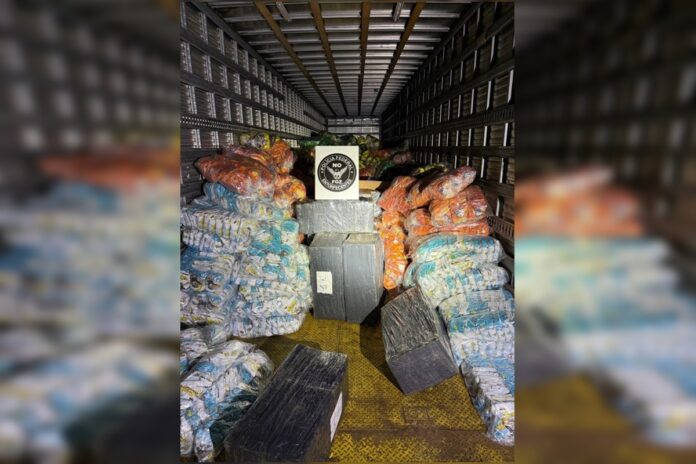 salgadinho-de-maconha:-tonelada-da-droga-e-achada-em-carga-do-alimento
