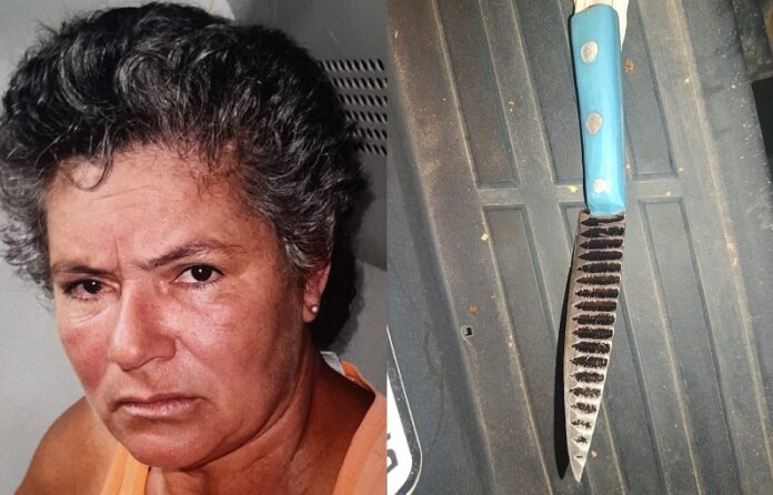 flagrante:-acusada-de-matar-o-marido-a-facada-e-presa-pela-pm-horas-apos-o-crime-em-medeiros-neto