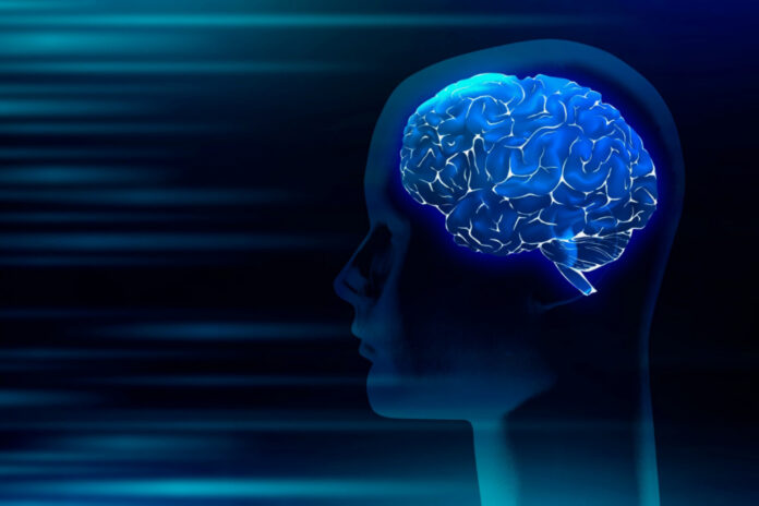 oms-pede-atencao-urgente-a-saude-cerebral
