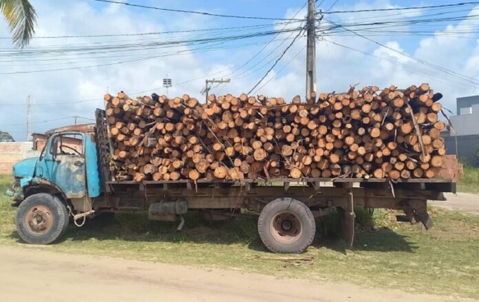 pm-prende-“doca-tranca-rua”-e-filho-por-roubo-e-lesao-corporal-em-rodovia-de-prado