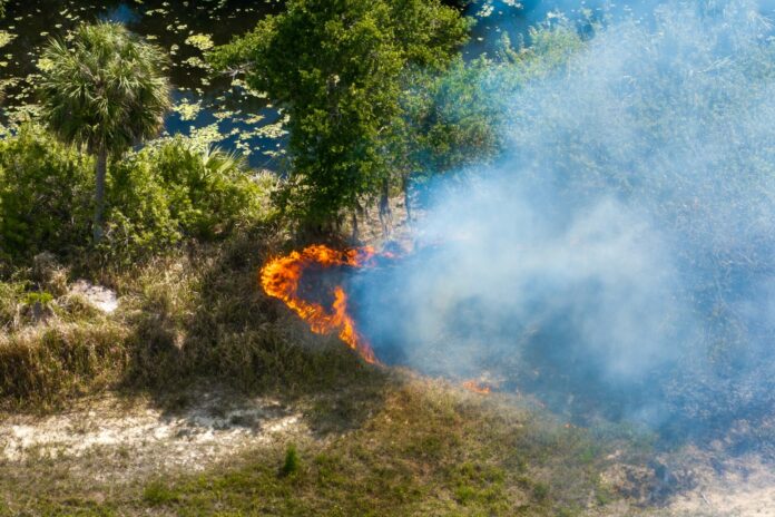 som-inaudivel-pode-revolucionar-o-combate-a-incendios