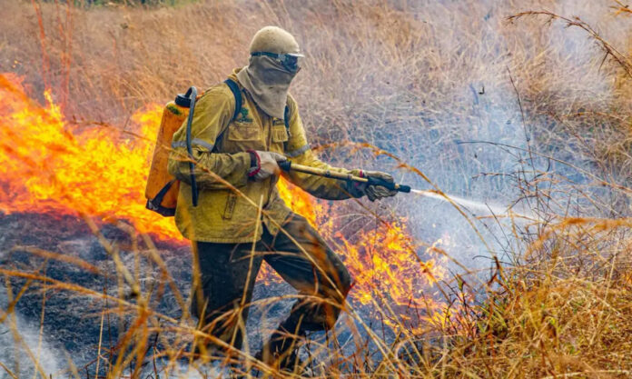 raios-provocam-novo-foco-de-incendio-na-chapada-dos-veadeiros