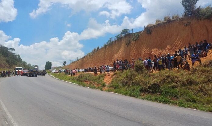 tombamento-na-br-101:-caminhao-com-100-bovinos-vira-em-itamaraju;-carga-e-saqueada-e-motorista-sai-ileso