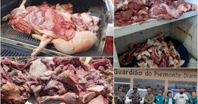 mais-de-2-toneladas-de-carne-impropria-sao-apreendidas-em-jacobina-e-regiao