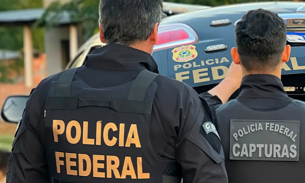 operacao-da-pf-em-guarulhos-impede-trafico-de-animais-silvestres