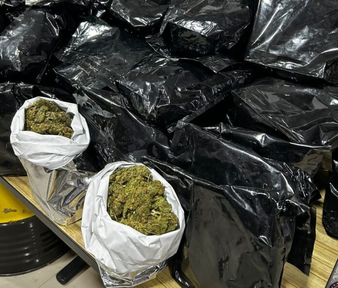 pm-apreende-45-kg-de-maconha-apos-perseguicao-e-capotamento-de-veiculo-em-itabuna