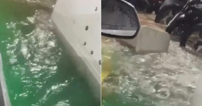 video:-ferry-maria-bethania-e-invadido-por-agua-durante-travessia-e-assusta-passageiros