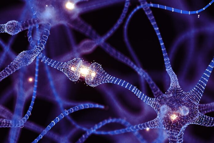 nanotubos-entre-neuronios-revelam-novo-tipo-de-comunicacao-cerebral