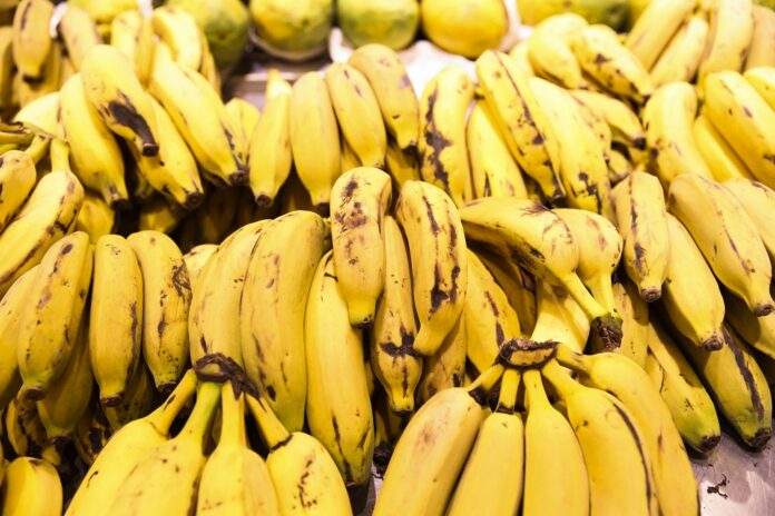 deputada-do-pl-quer-impedir-que-brasil-compre-bananas-do-exterior